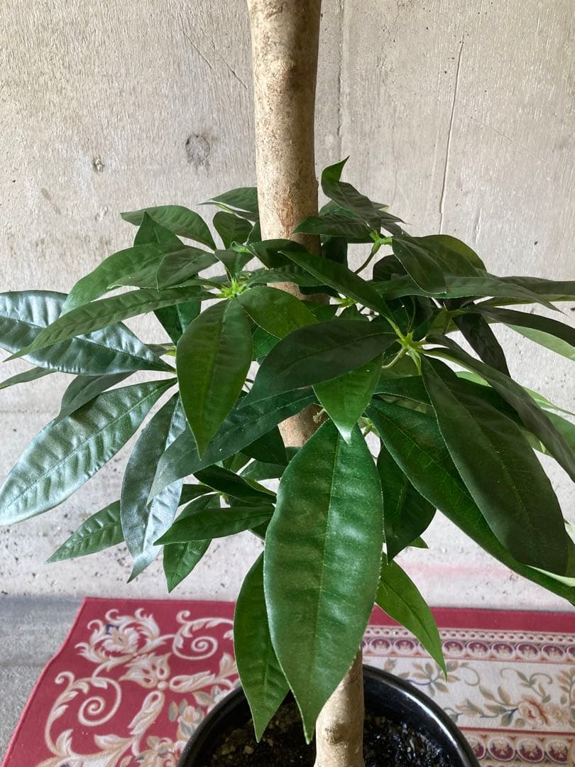 光触媒　人工観葉植物　ウォールグリーン　フェイクグリーン　パキラ16670鉢付