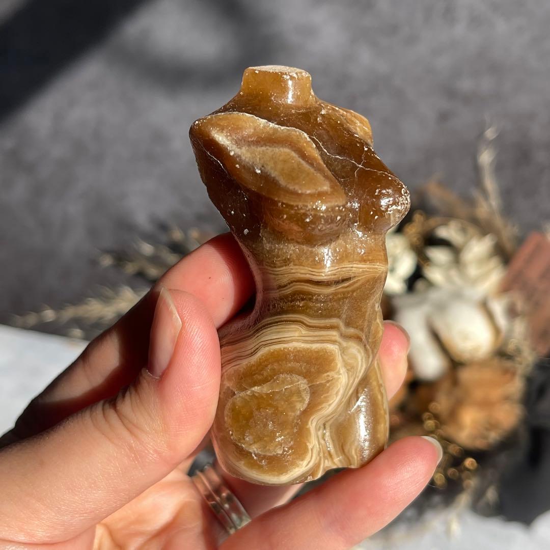 チョコレート カルサイト レディース ボディ