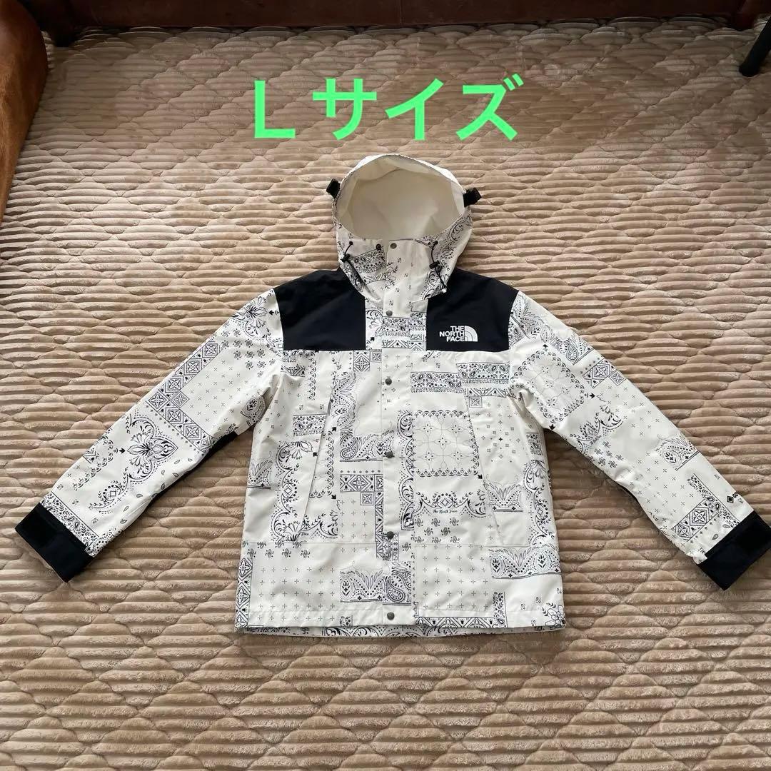 韓国限定　ノースフェイス マウンテンジャケット ゴアテックス ペイズリー　L