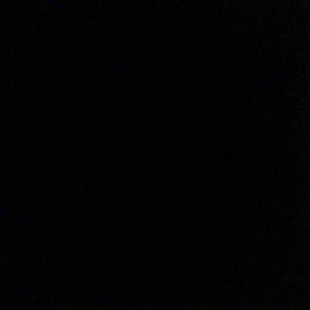 こぶた工房　ブラックウッドバール瘤　0.5mm シャーペン