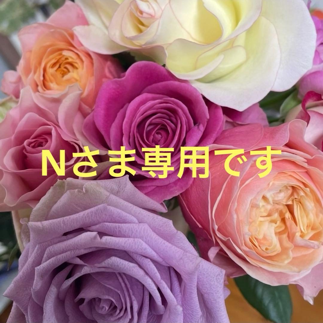 Nさま専用確認用ページです