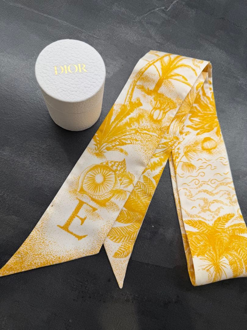 Dior ミッツァ　イニシャルE