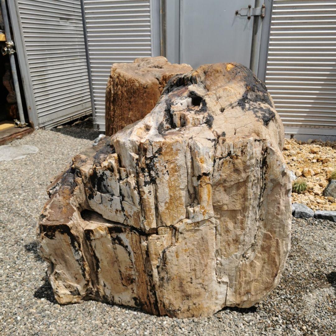 秋田産　珪化木　349キロ　木化石　庭石　石　鑑賞石　置物　オブジェ