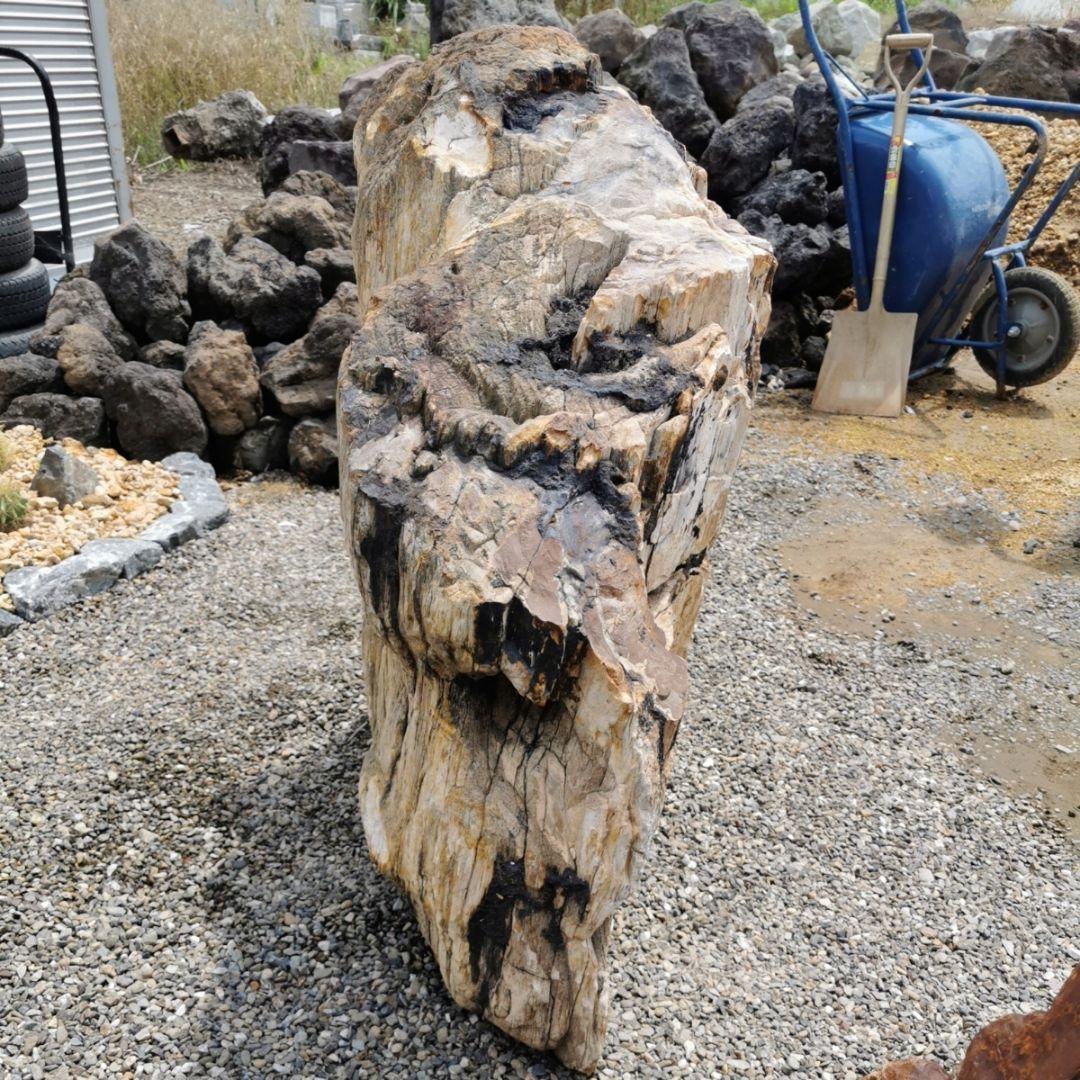秋田産　珪化木　349キロ　木化石　庭石　石　鑑賞石　置物　オブジェ