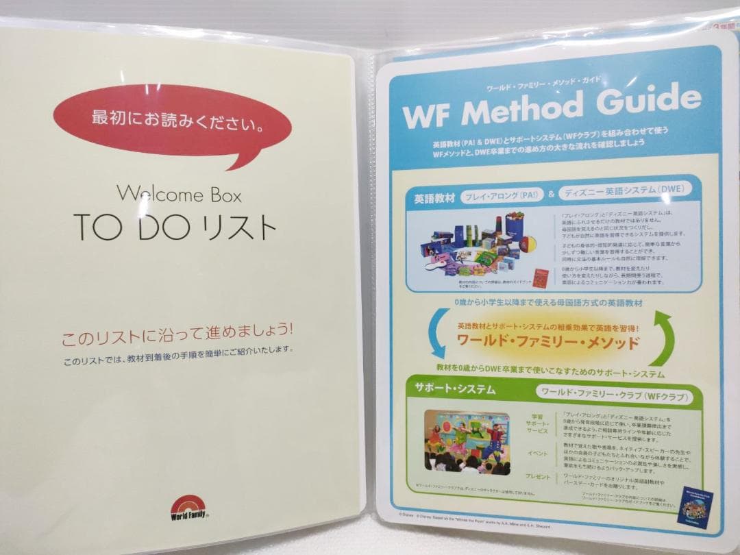 【お年玉セール5千円引 ほぼ未使用未開封】2024年最新版 シングアロングDWE