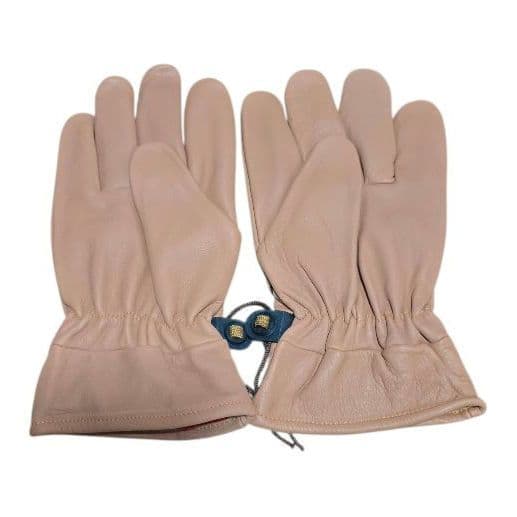 ロイヤルボタニカル キューガーデン 王立植物園 手袋 グローブ XL