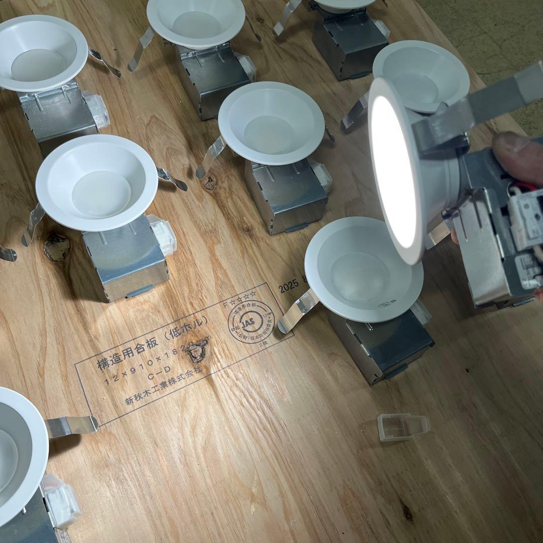 ODELIC オーデリック LEDダウンライト OD261892 昼白色 12個