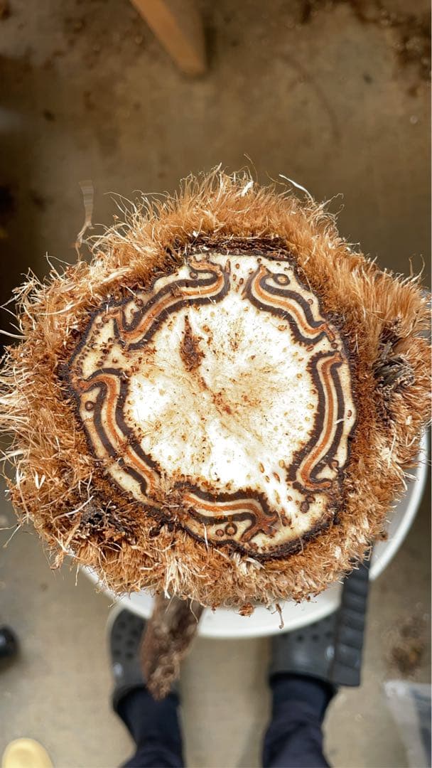 鉢・プランター OJIN