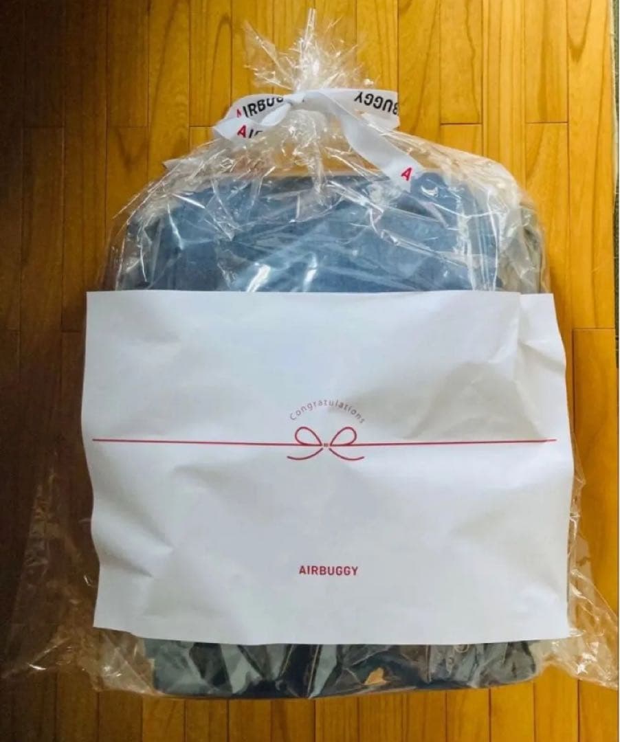 【新品未開封・本日限定特別価格】エアバギー　ココプレミア　フロムバース