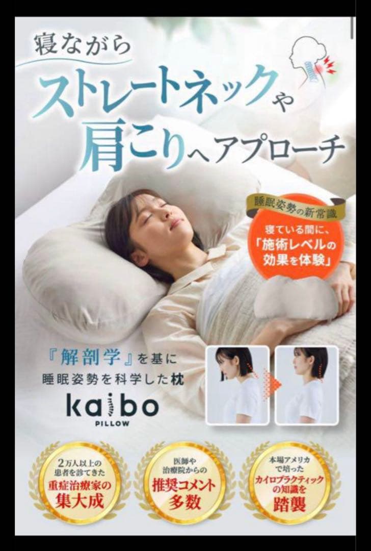 kaibo(かいぼ)PILLOW 枕