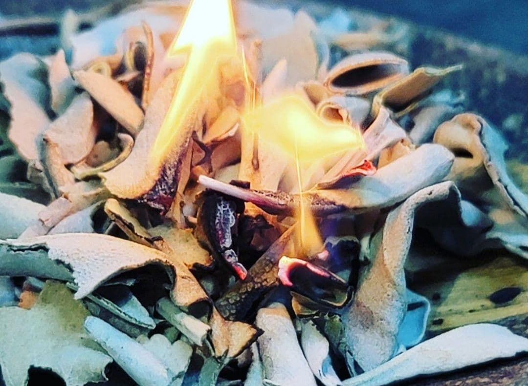 激安価格☆無農薬ホワイトセージ1kg箱入りお香浄化お徳用業務用