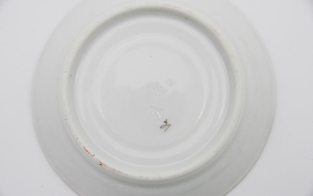 ⚡1920年代・手彩色ティーセット: ドイツ・フラウロイト