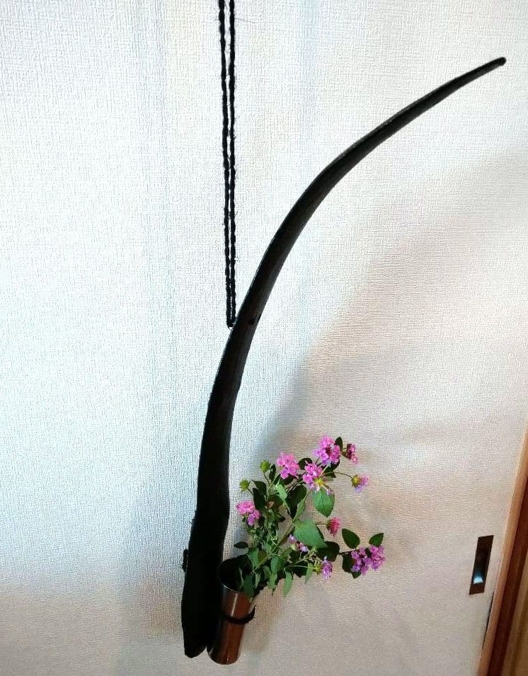 ♥花瓶・オブジェ・インテリア♥７７cm特大⬛壁掛け・反ブラック飾り台グラス付