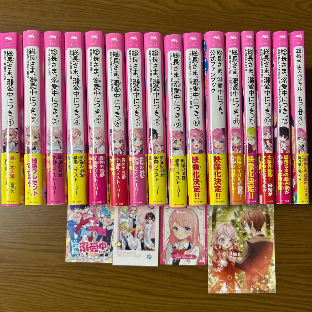 【美品・送料無料】総長さま、溺愛中につき。（全13巻+2.5冊）