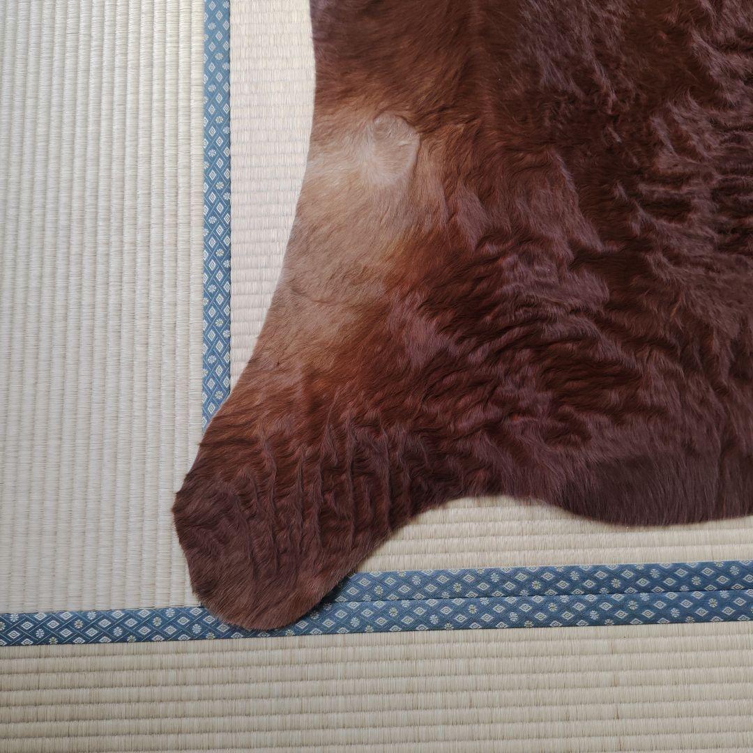 カウラグ 牛毛皮 敷物 絨毯 ラグマット