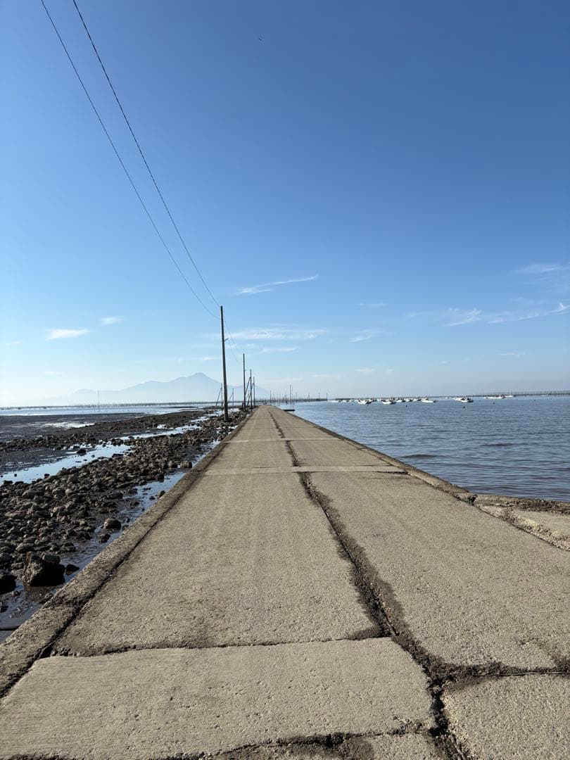 チューブラー B