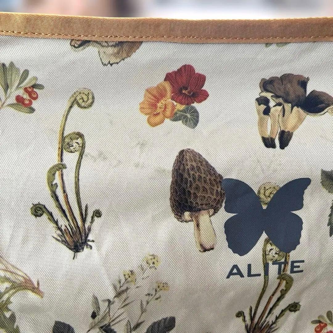 エーライト　メイフライチェア　ゆるキャン