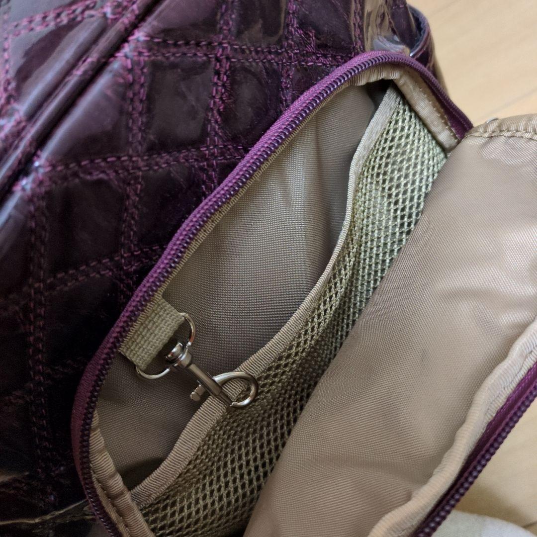 スワニー　キャリー