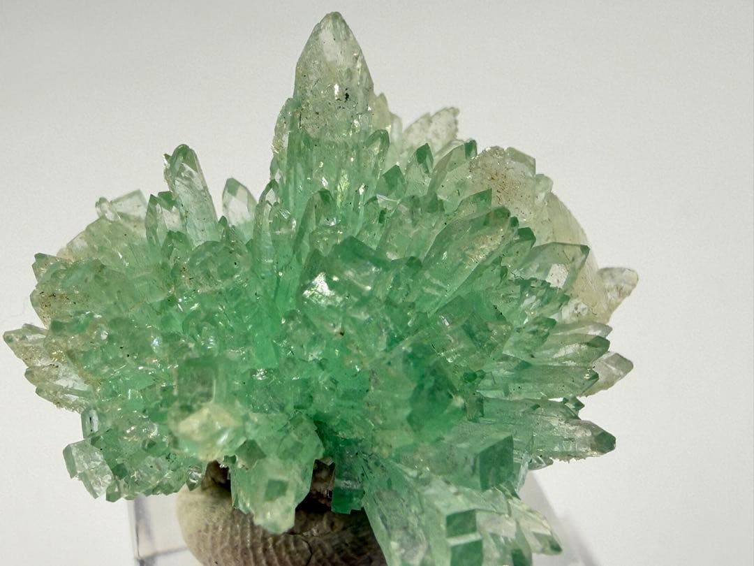 インド産　グリーンアポフィライト　鉱物標本