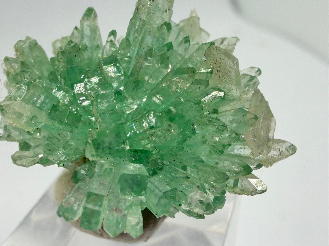 インド産　グリーンアポフィライト　鉱物標本