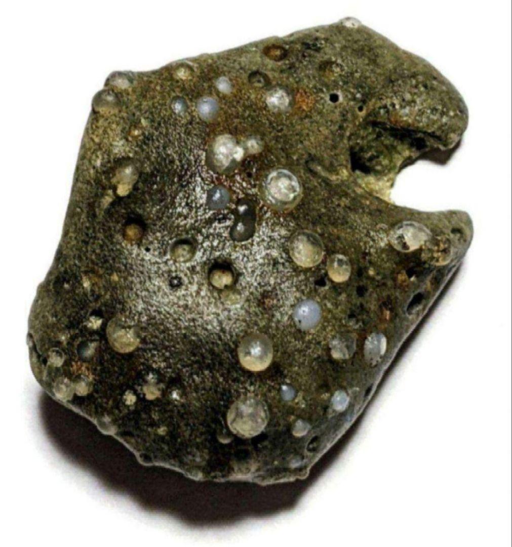 Y*u様 青森県産 今別町産 袰月産 舎利母石 原石 奇石 安山岩 子持ち石 一