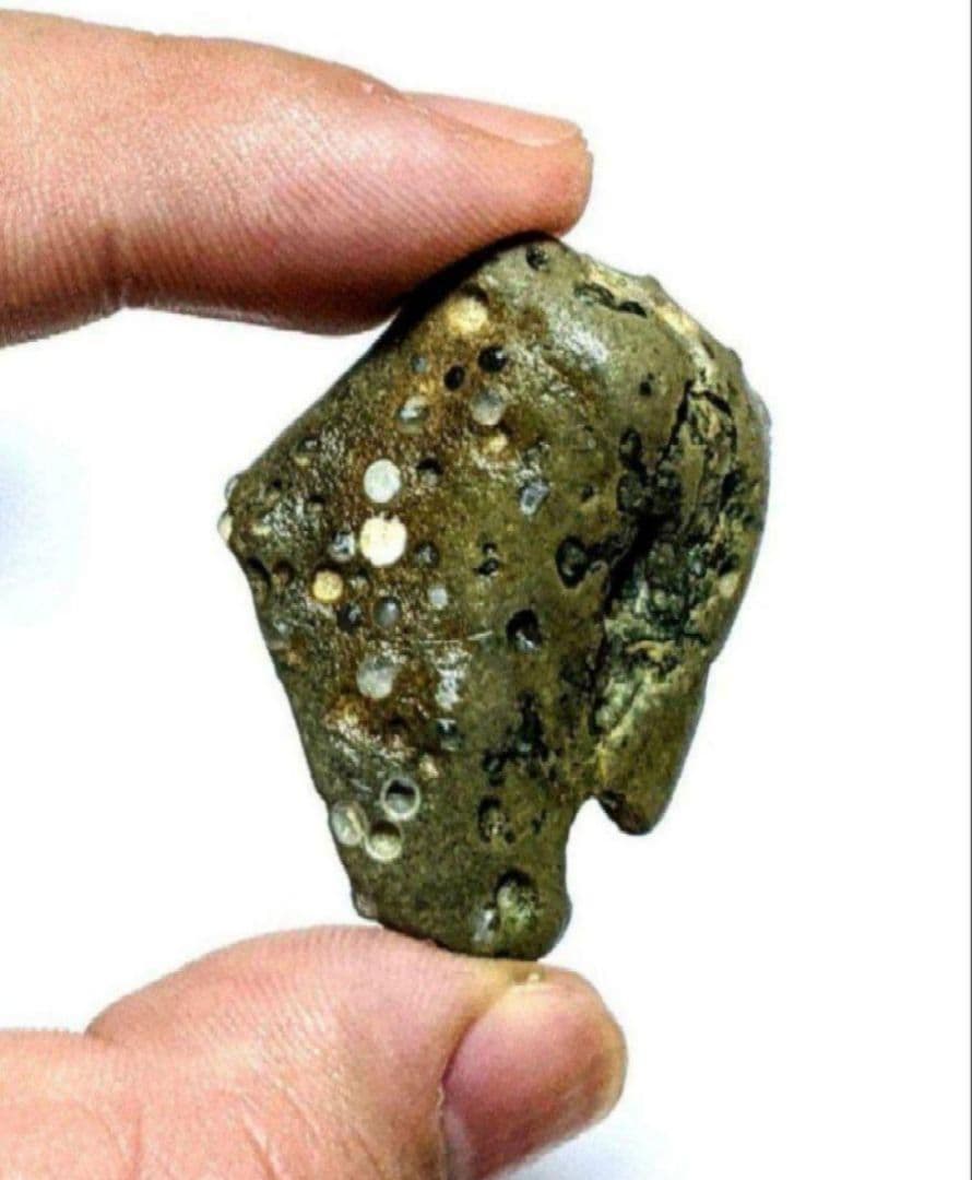 Y*u様 青森県産 今別町産 袰月産 舎利母石 原石 奇石 安山岩 子持ち石 一