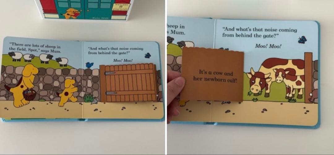 コロちゃん 仕掛け英語絵本 Find Spot ボードブック 仕掛け英語絵本8冊