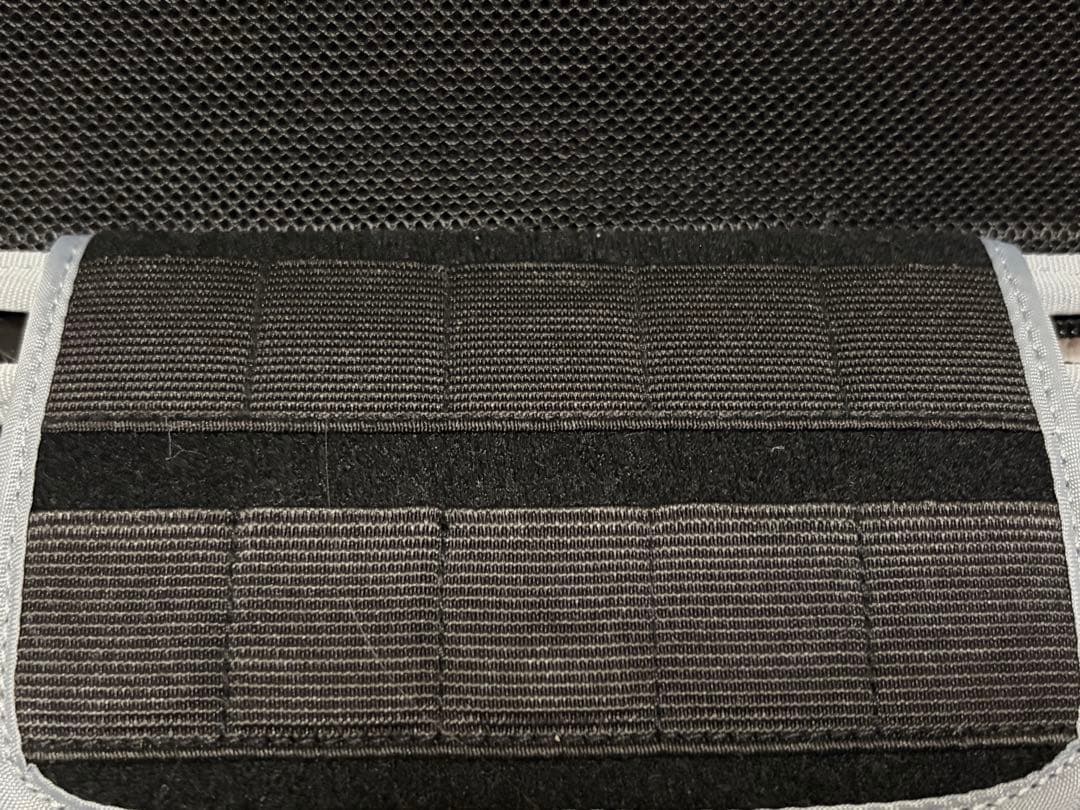 Nintendo Switch Lite グレー 本体（おまけ付き）