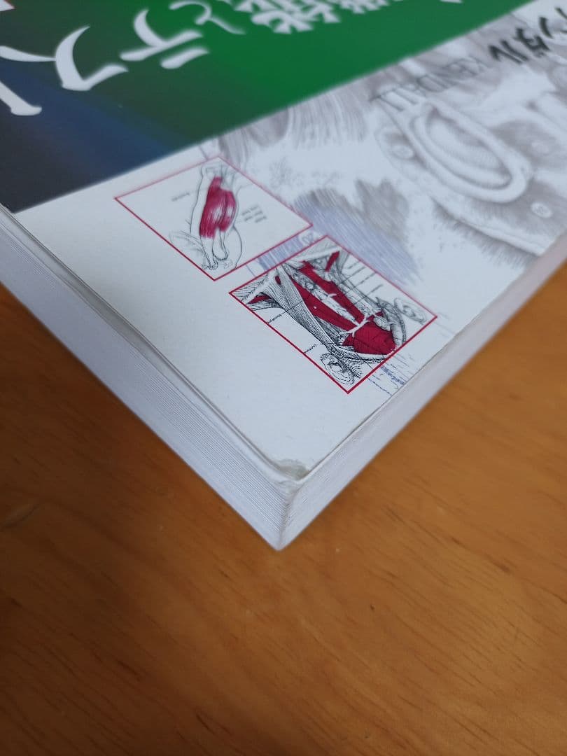 Omochi ケンダル 筋・機能とテスト -姿勢と痛み-