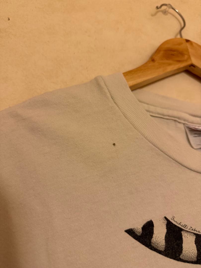 Diana Dee Tyler Tシャツ 90s アート