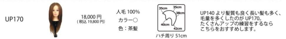 【美品 送料込】値下交渉可 UP170 アップスタイル アレンジ ウィッグ