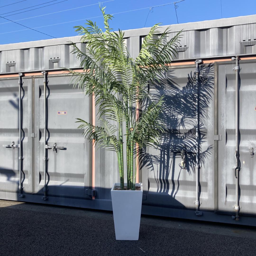 【お値下げOK】大型フェイクグリーン 光触媒人工植物 光の楽園 高さ約270cm