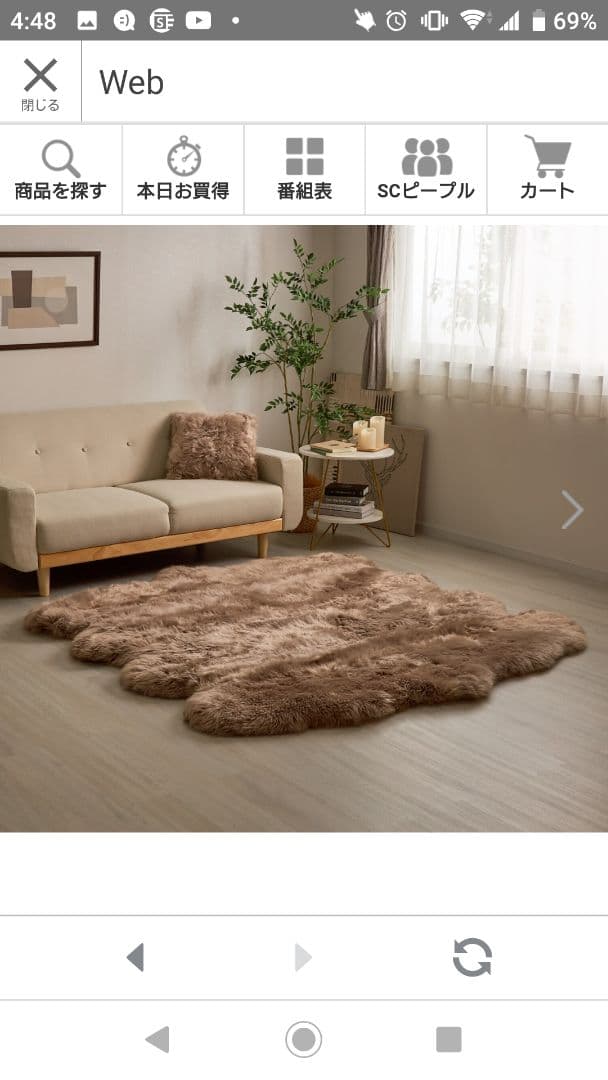 リアルムートン 8匹物です。ショップチャンネルで、購入。12万くらい、でした。