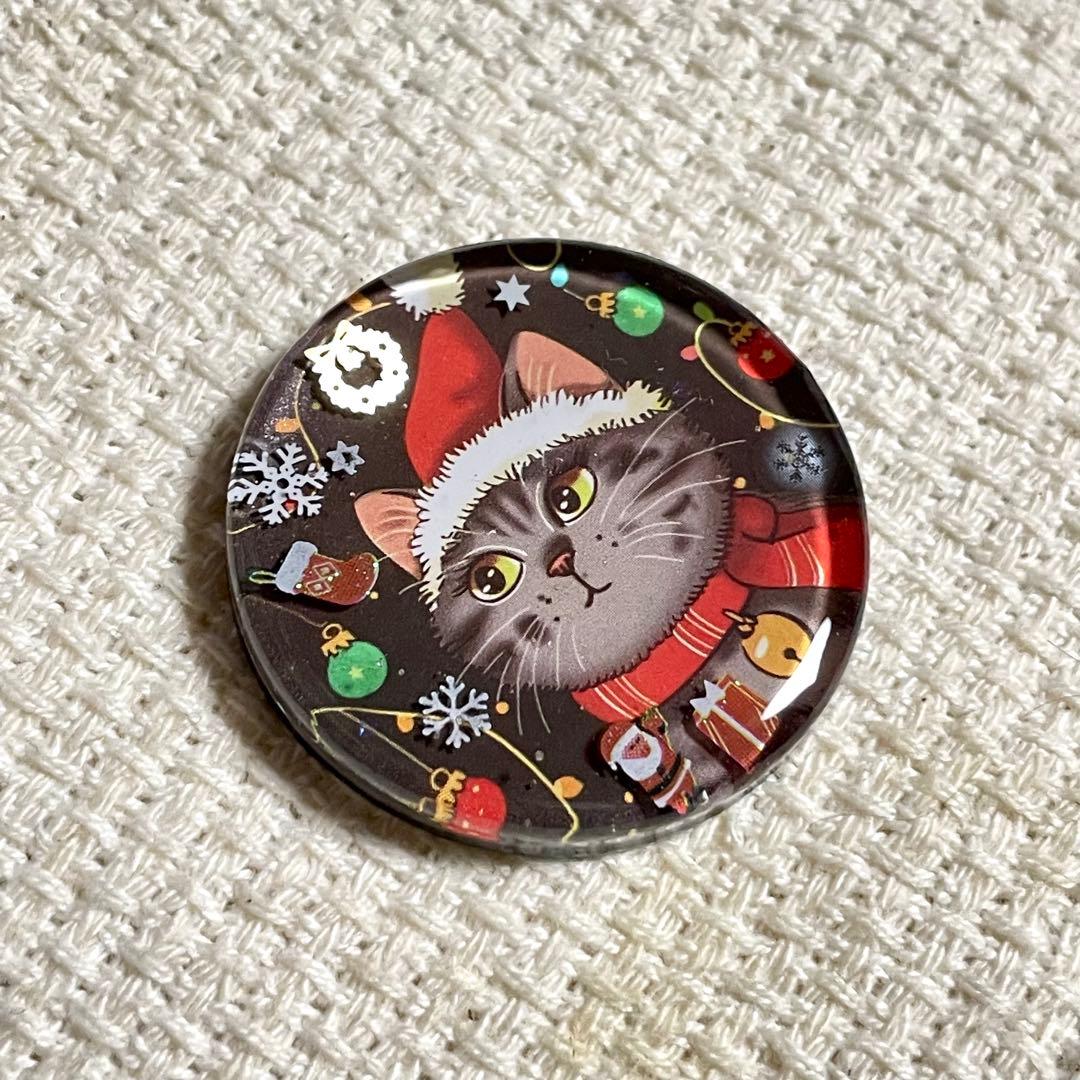 2579. 【大】レジンポニーフック・ヘアゴム・ブローチ・マグネット