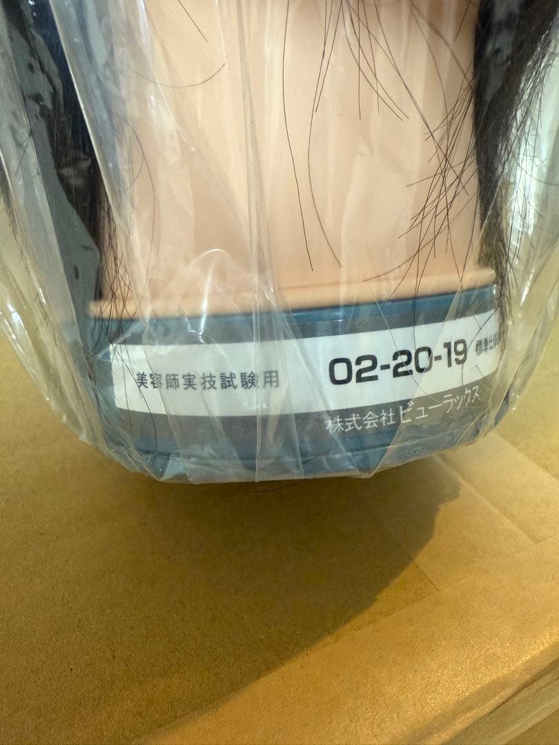 国家試験用カットウィッグ5体