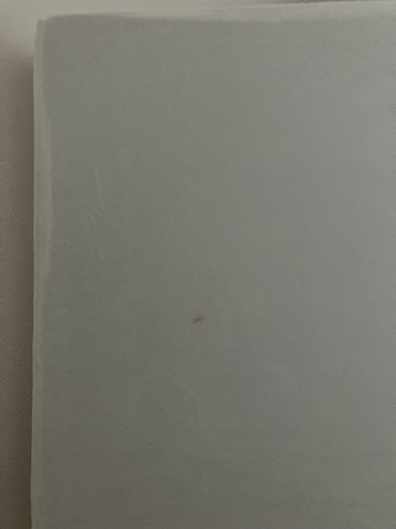 【直接取引のみ】モットン　シングルサイズ マットレス