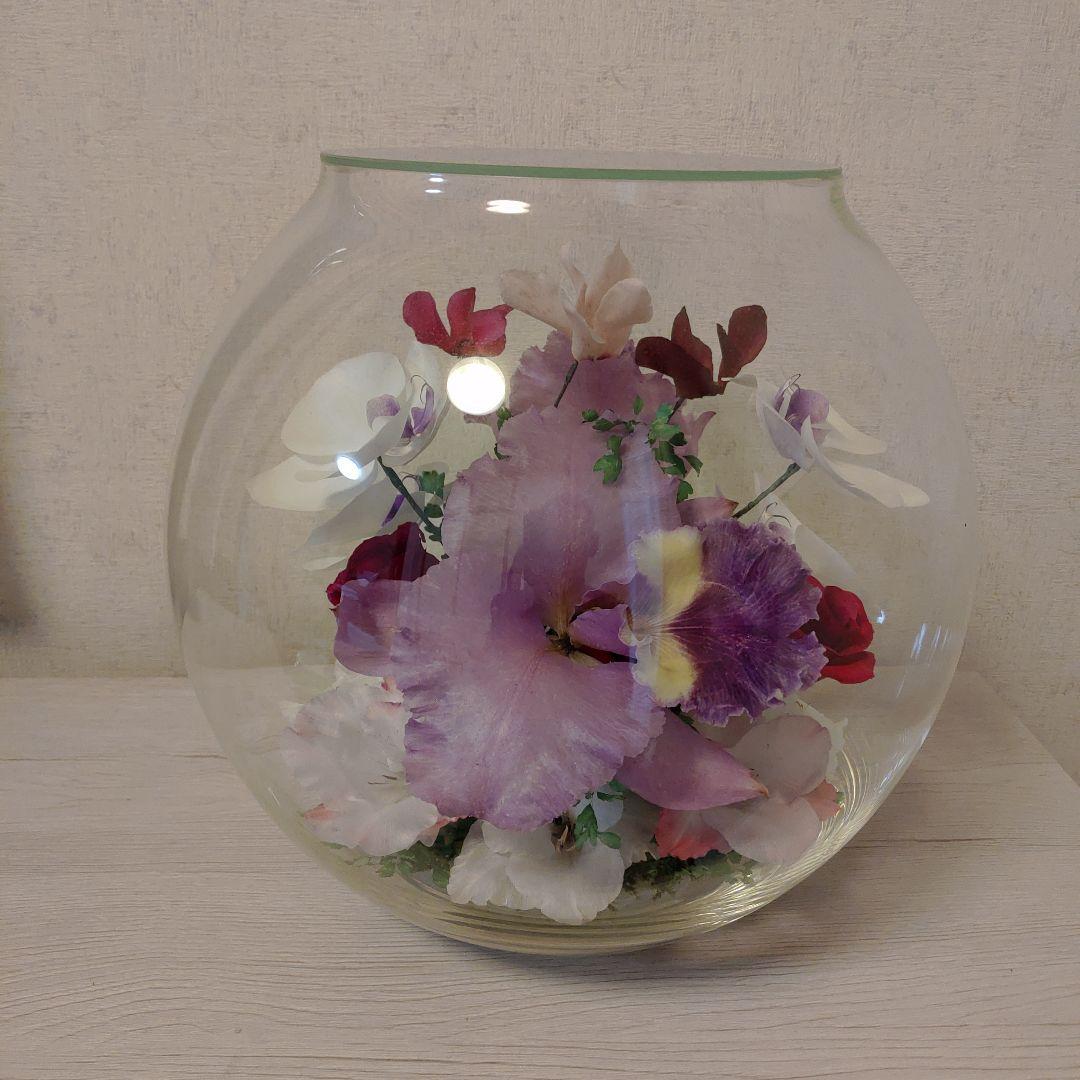 レンデフロール（C-V）