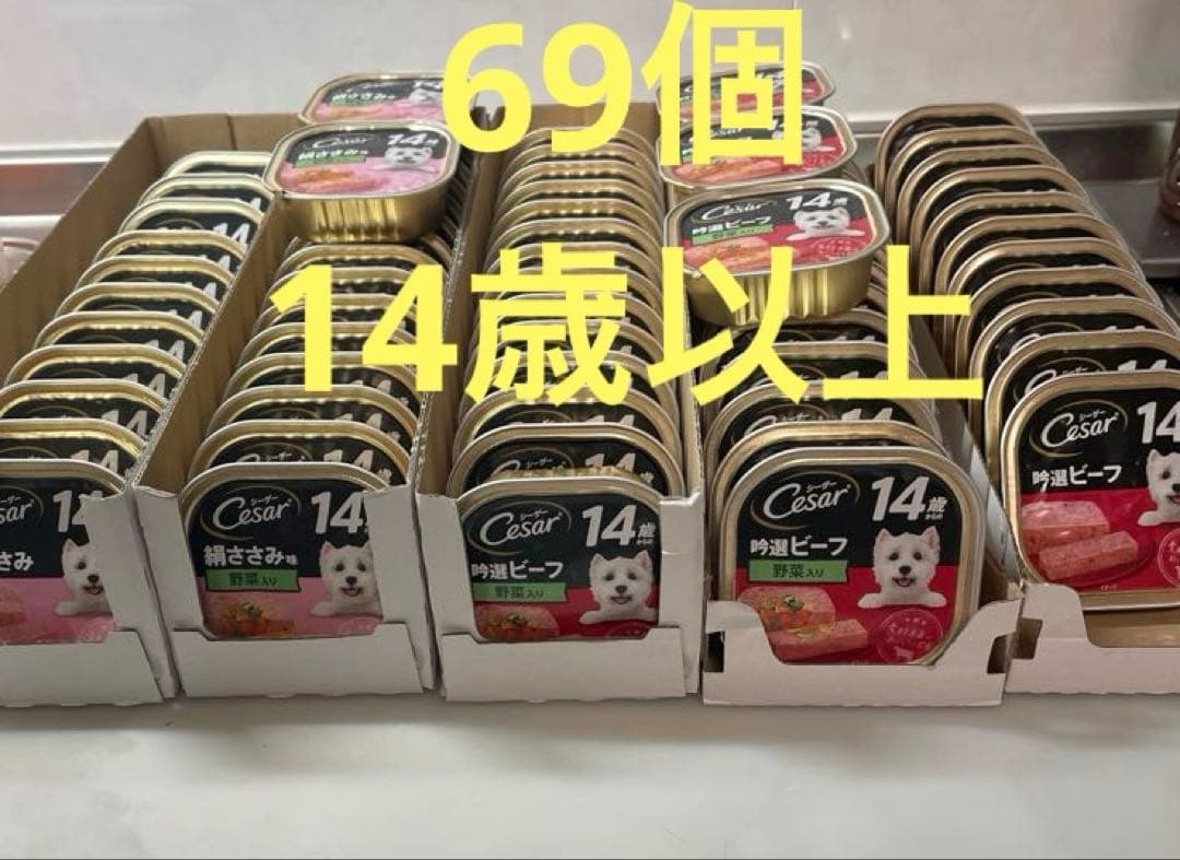シーザー　ウェットフード　14歳以上　シニア　シニア犬の食事