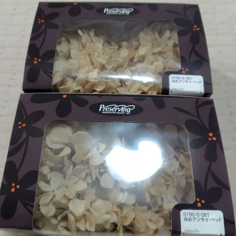 日本製　プリザーブドフラワー　大地農園　あじさい　EARTHMATTERS