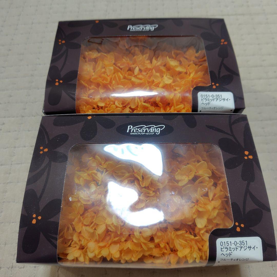 日本製　プリザーブドフラワー　大地農園　あじさい　EARTHMATTERS