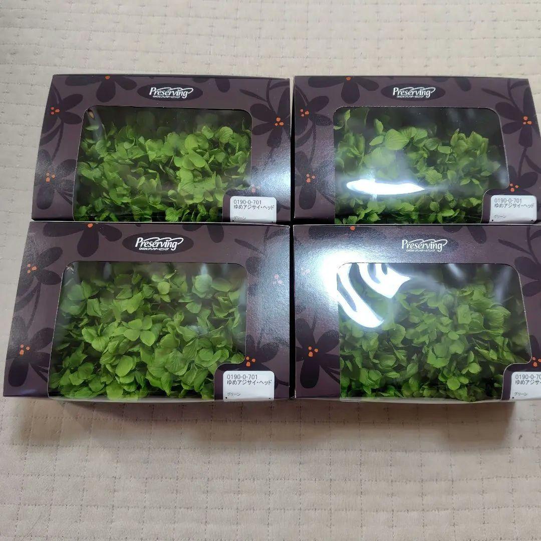 日本製　プリザーブドフラワー　大地農園　あじさい　EARTHMATTERS