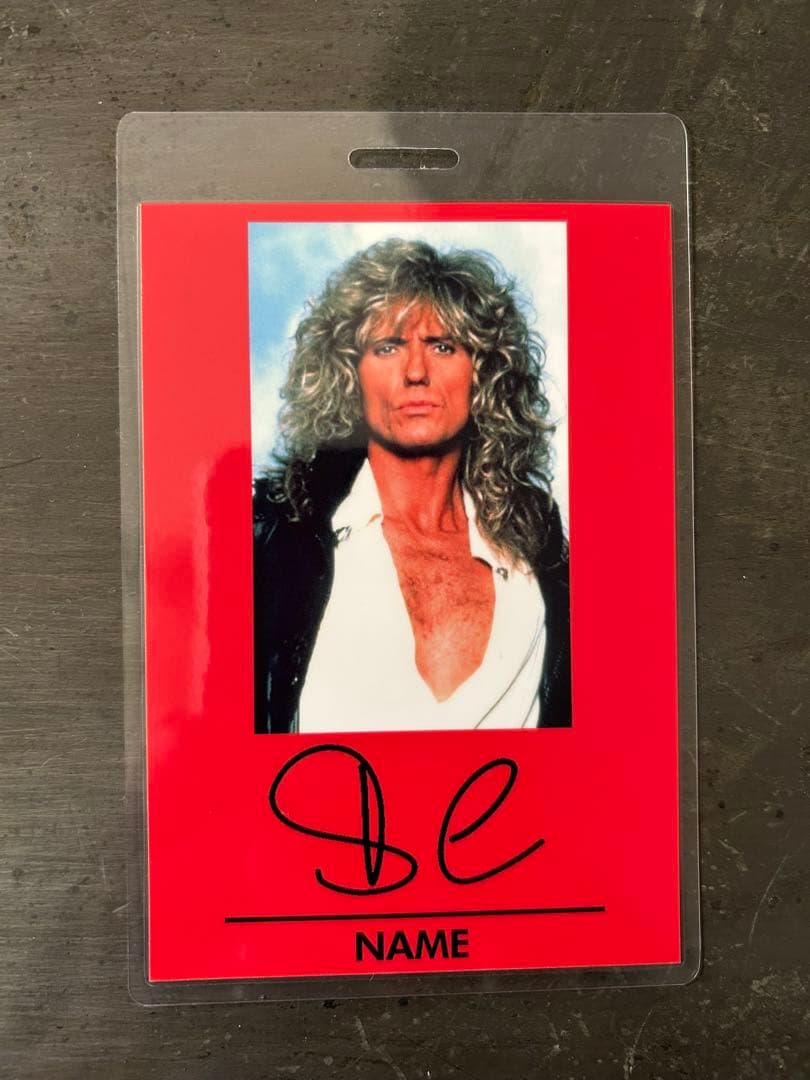 ホワイトスネイク/白蛇の紋章サーペンスアルバス30周年記念スーパーDE