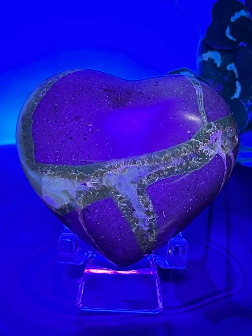 たかとら様✨セプタリアン　⭐️2056