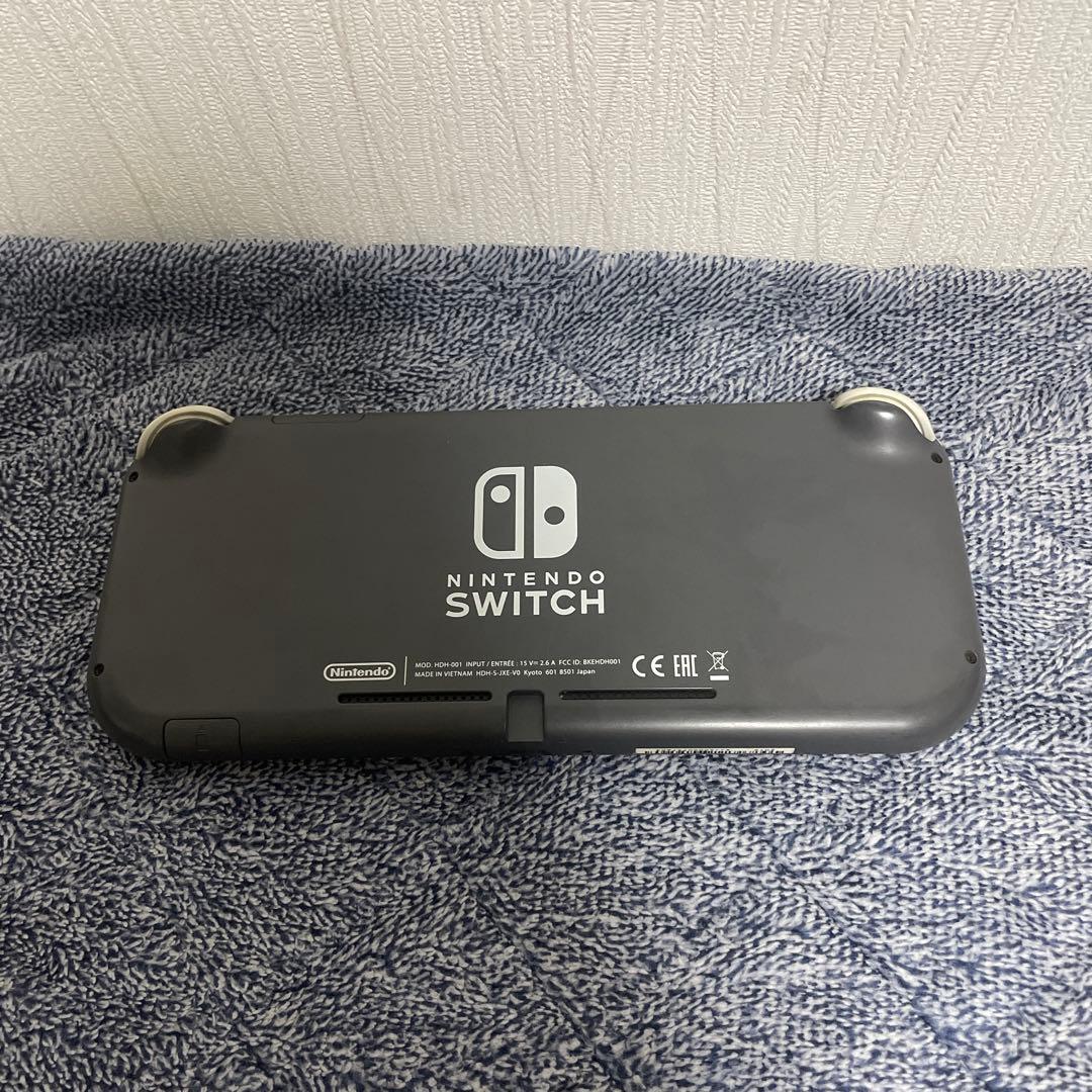 Switchライト本体