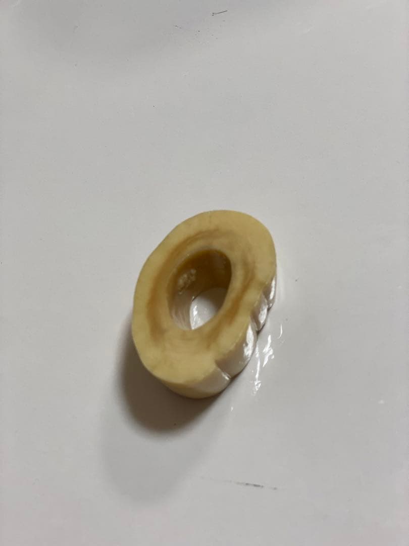 ウニコール　一角鯨牙　送料無料