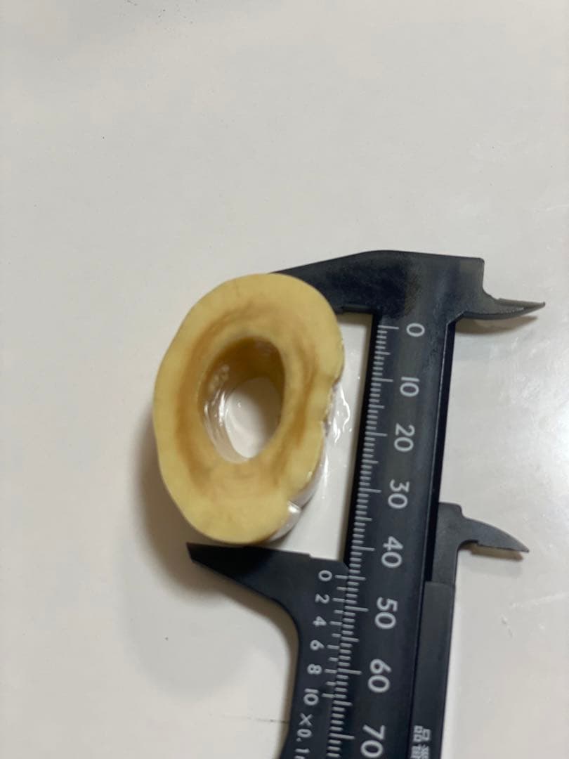 ウニコール　一角鯨牙　送料無料