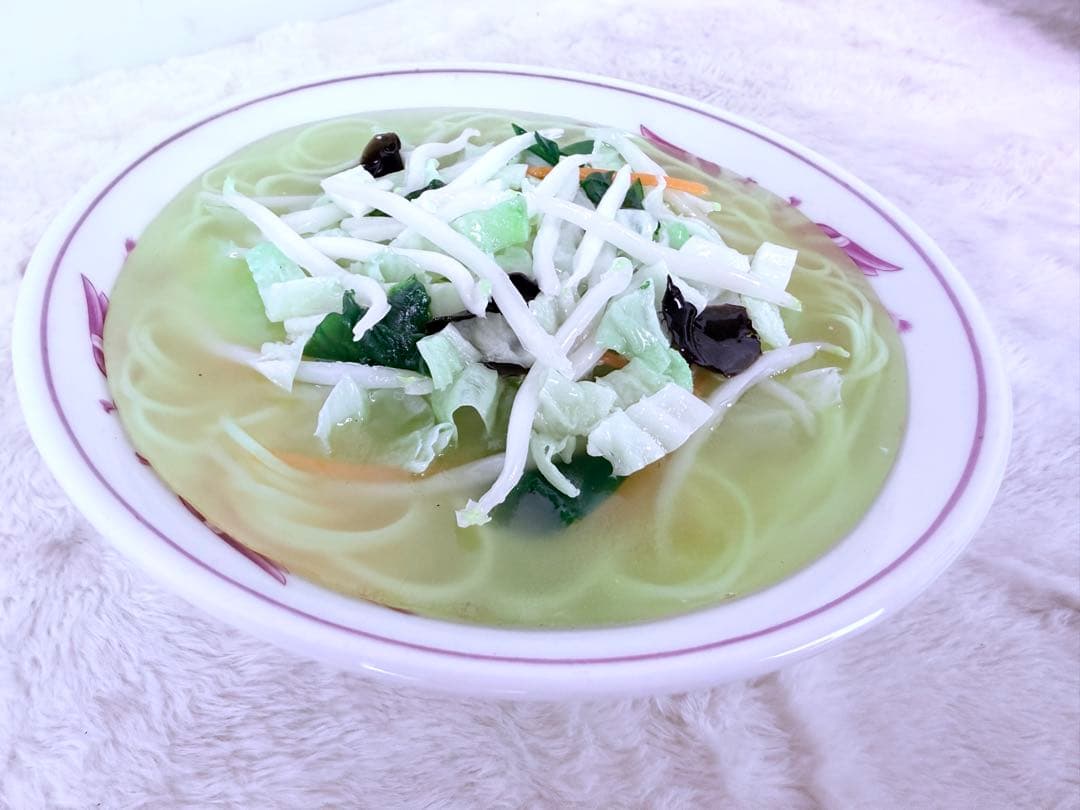 昭和レトロ タンメン 食品サンプル 直径約21.5cm 町中華 ディスプレイ用