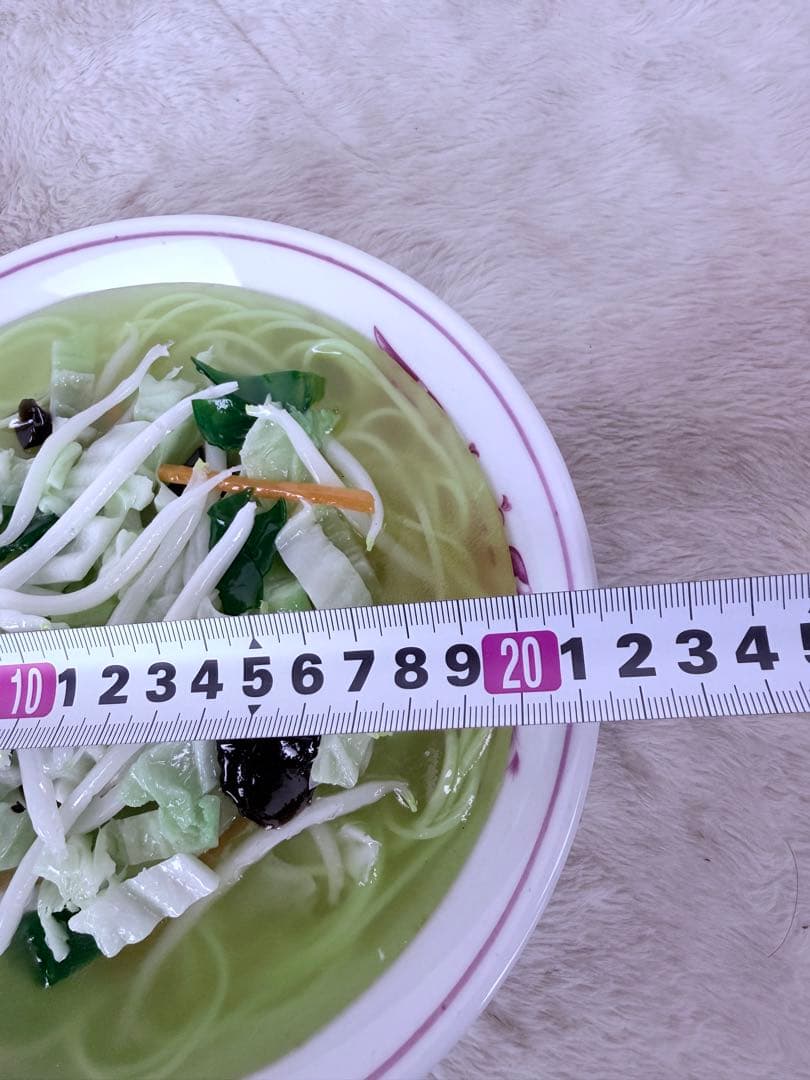 昭和レトロ タンメン 食品サンプル 直径約21.5cm 町中華 ディスプレイ用