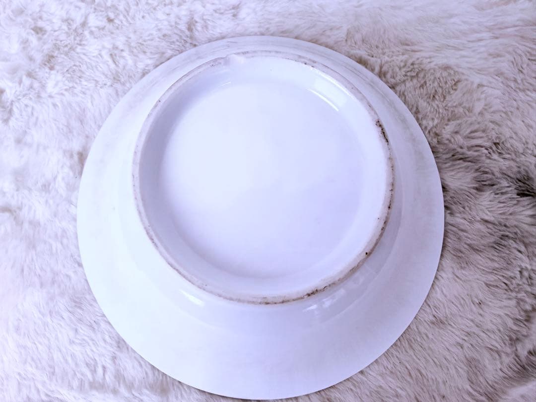 昭和レトロ タンメン 食品サンプル 直径約21.5cm 町中華 ディスプレイ用