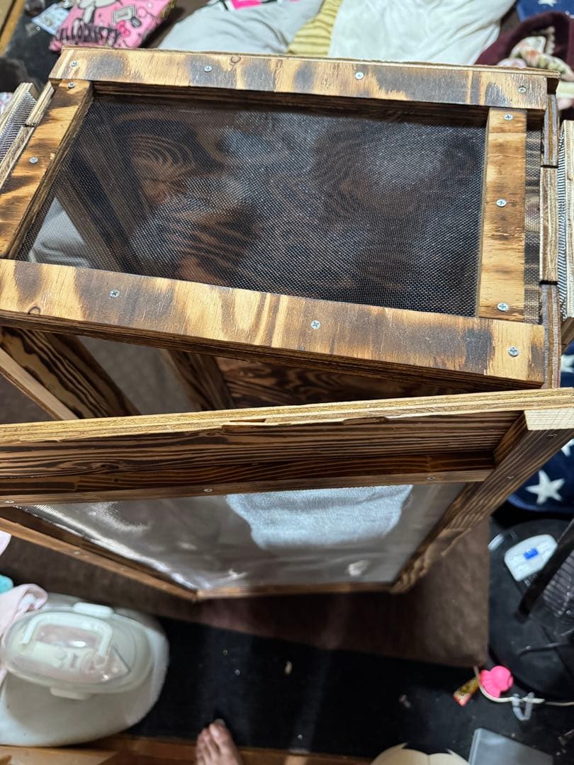 カメレオンケージ